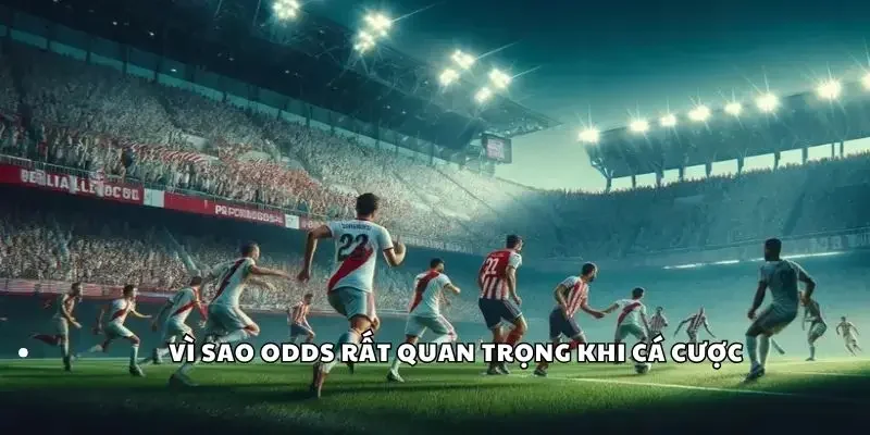 Vì sao Odds rất quan trọng khi cá cược?