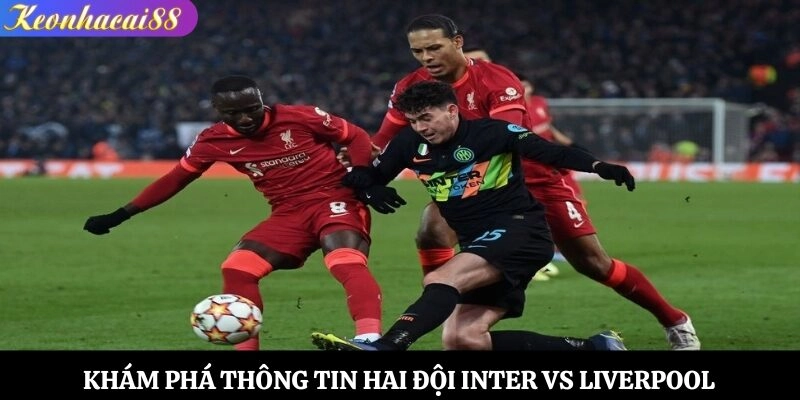 Khám phá thông tin hai đội Inter vs Liverpool