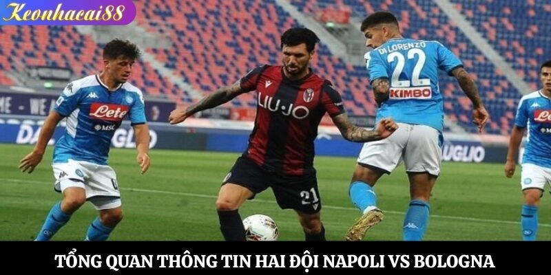 Tổng quan thông tin hai đội Napoli vs Bologna