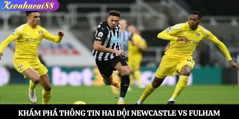 Khám phá thông tin hai đội Newcastle vs Fulham