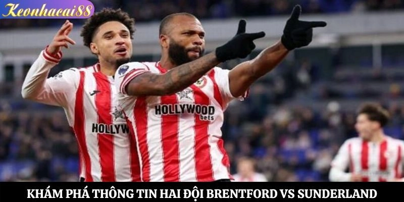 Khám phá thông tin hai đội Brentford vs Sunderland