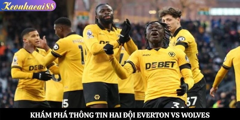 Khám phá thông tin hai đội Everton vs Wolves