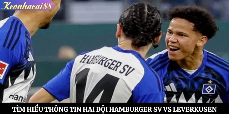 Tìm hiểu thông tin hai đội Hamburger SV vs Leverkusen